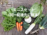 ミニセット《２セット》 【送料別】