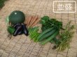 画像2: 並盛セット 【送料別】 (2)