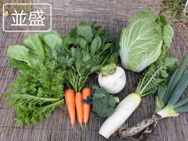 画像1: 並盛セット 【送料別】 (1)